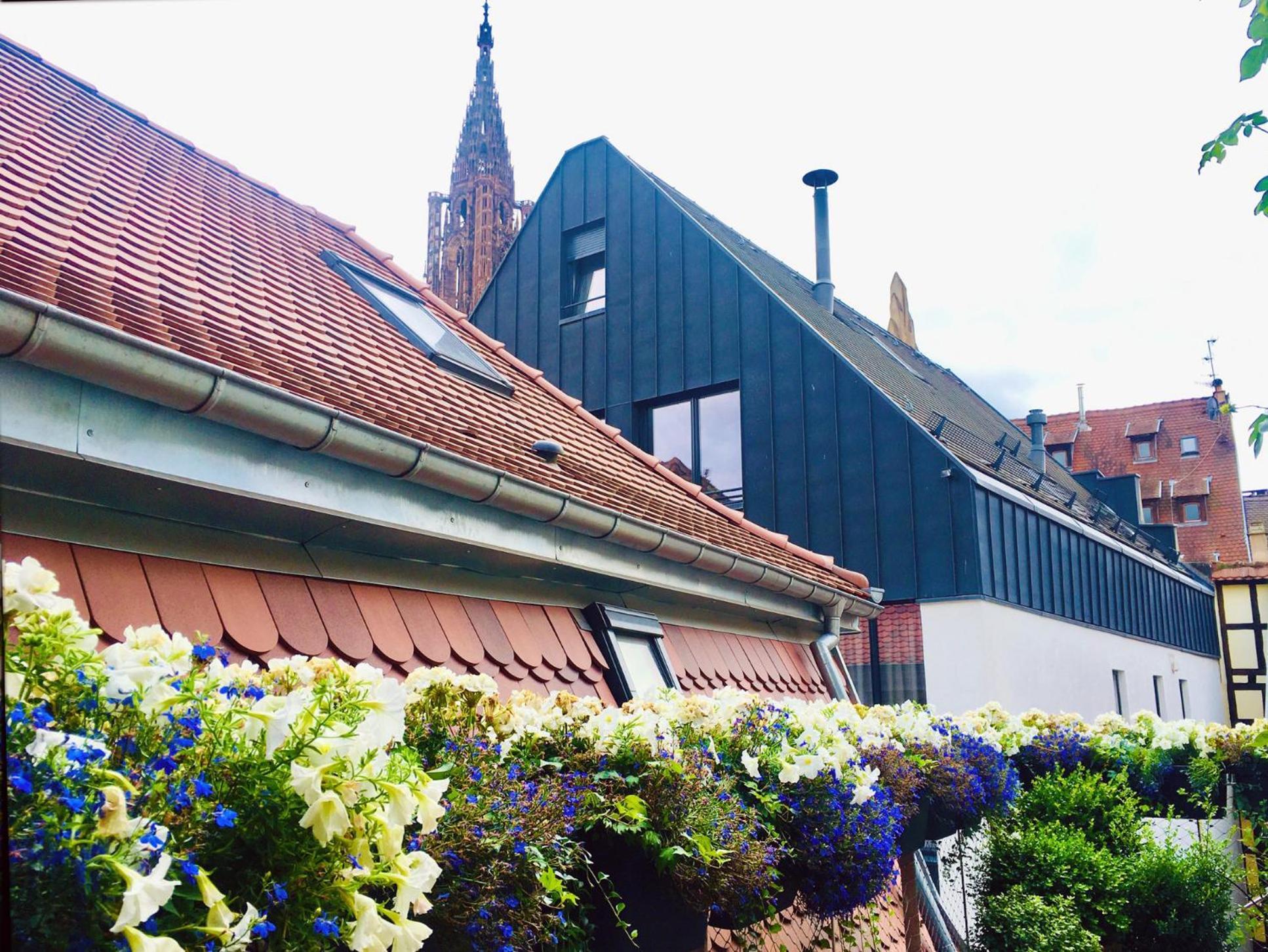 Le Carre D Or Appartement Terrasse Vue Cathedrale Strasbourg Exterior photo
